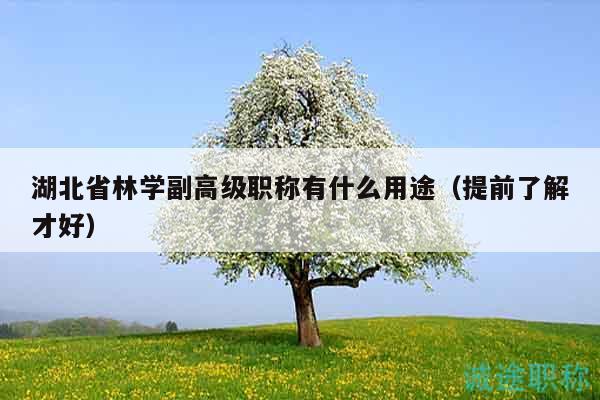 湖北省林學(xué)副高級(jí)職稱(chēng)有什么用途（提前了解才好）