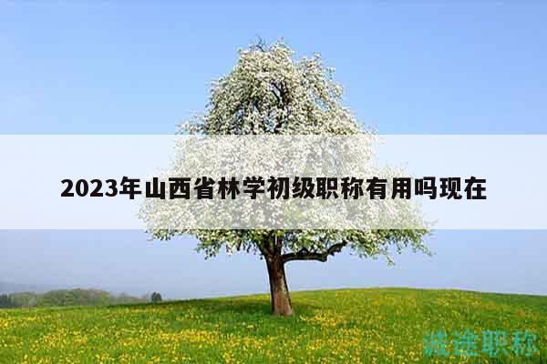 2023年山西省林學(xué)初級職稱有用嗎現(xiàn)在