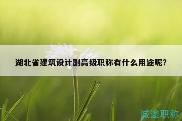湖北省建筑設(shè)計副高級職稱有什么用途呢？