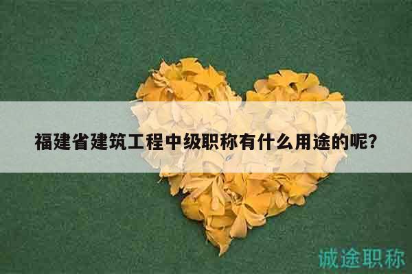 福建省建筑工程中級職稱有什么用途的呢？