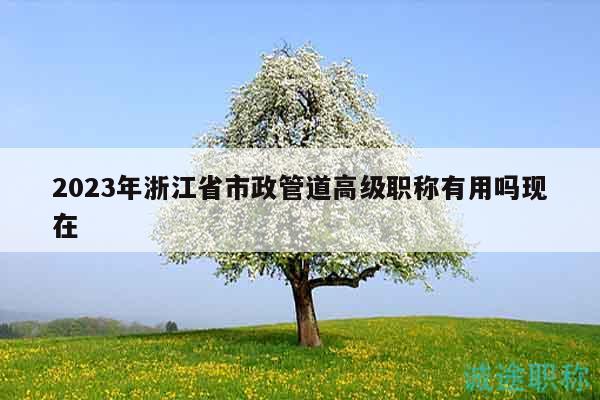 2023年浙江省市政管道高級(jí)職稱有用嗎現(xiàn)在