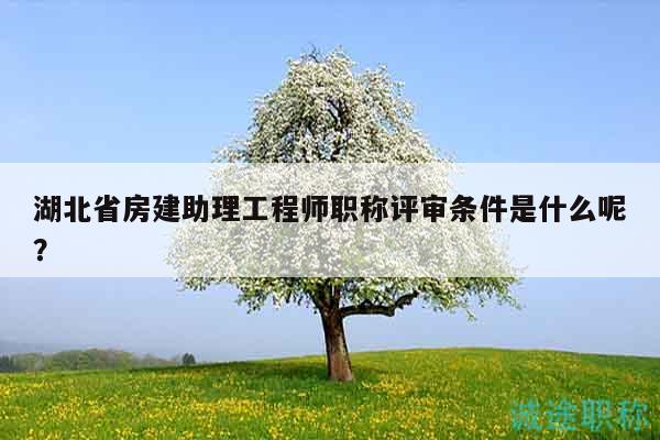 湖北省房建助理工程師職稱評審條件是什么呢？