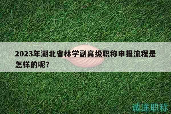 2023年湖北省林學(xué)副高級(jí)職稱申報(bào)流程是怎樣的呢？