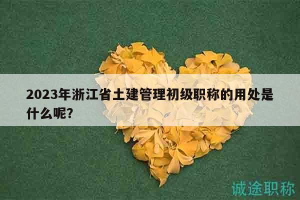 2023年浙江省土建管理初級職稱的用處是什么呢？