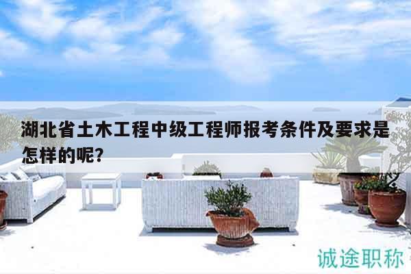 湖北省土木工程中級工程師報(bào)考條件及要求是怎樣的呢？