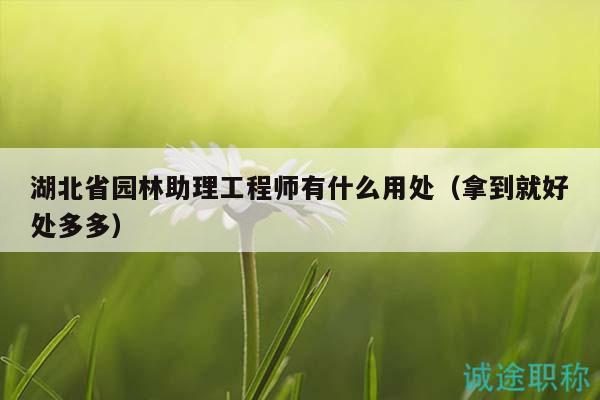 湖北省園林助理工程師有什么用處（拿到就好處多多）