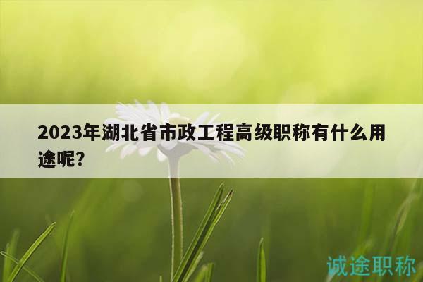 2023年湖北省市政工程高級職稱有什么用途呢？