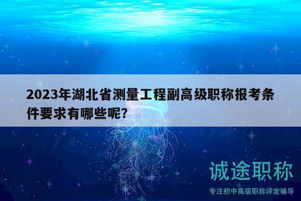 2023年湖北省測量工程副高級職稱報考條件要求有哪些呢？