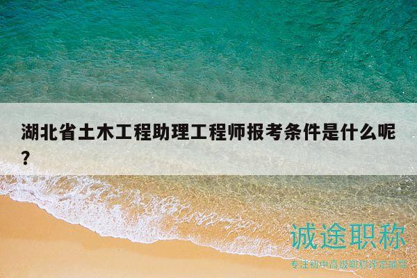 湖北省土木工程助理工程師報(bào)考條件是什么呢？