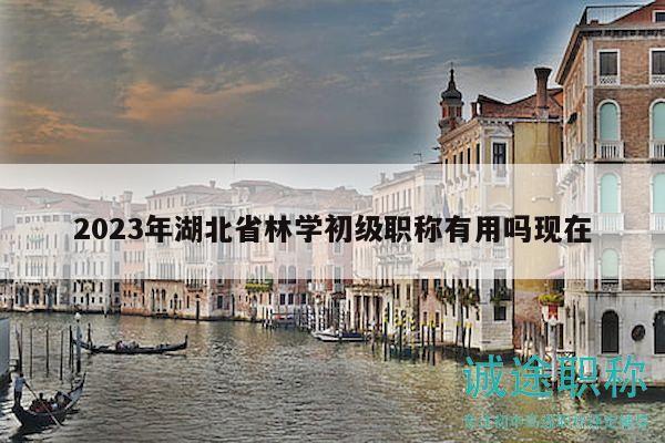 2023年湖北省林學(xué)初級職稱有用嗎現(xiàn)在