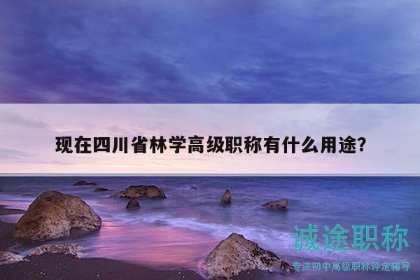 現(xiàn)在四川省林學(xué)高級職稱有什么用途？