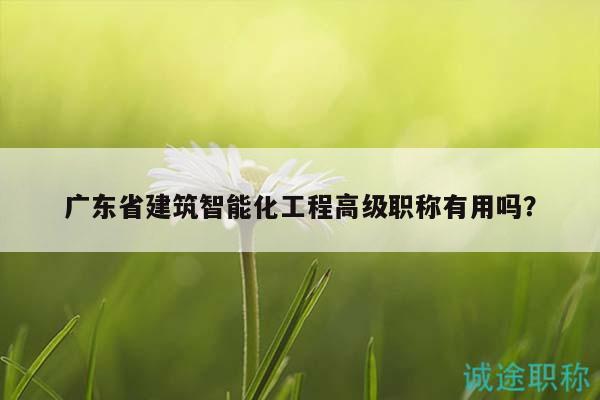 廣東省建筑智能化工程高級(jí)職稱有用嗎？