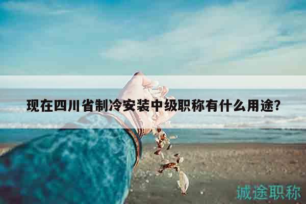 現(xiàn)在四川省制冷安裝中級職稱有什么用途？