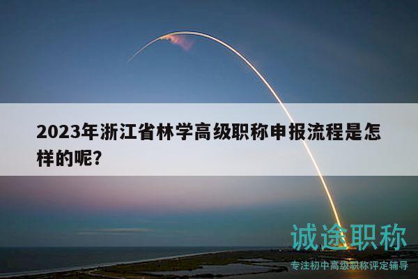 2023年浙江省林學高級職稱申報流程是怎樣的呢？