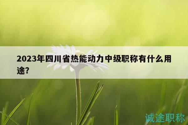 2023年四川省熱能動(dòng)力中級(jí)職稱(chēng)有什么用途？