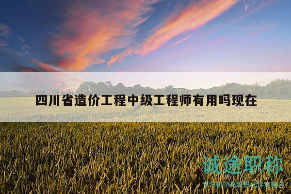 四川省造價(jià)工程中級(jí)工程師有用嗎現(xiàn)在