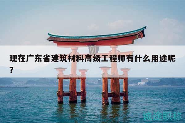 現(xiàn)在廣東省建筑材料高級(jí)工程師有什么用途呢？
