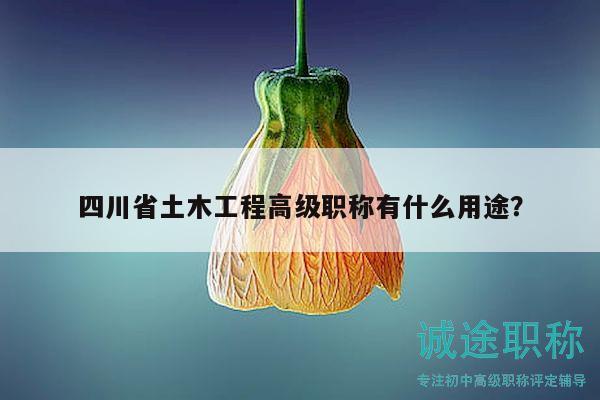 四川省土木工程高級(jí)職稱有什么用途？