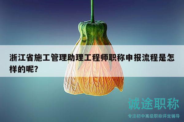 浙江省施工管理助理工程師職稱申報流程是怎樣的呢？