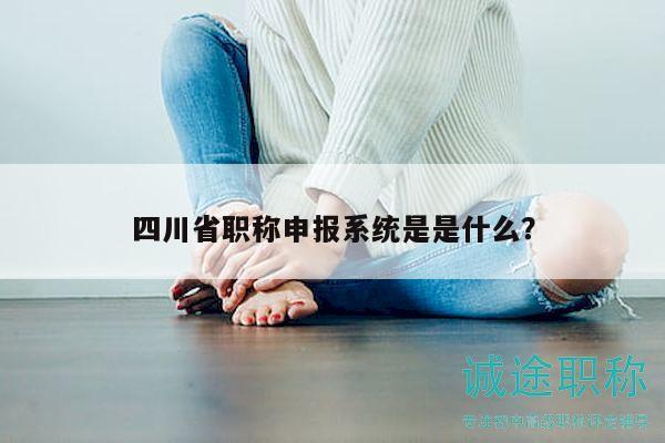 四川省職稱申報(bào)系統(tǒng)是是什么？