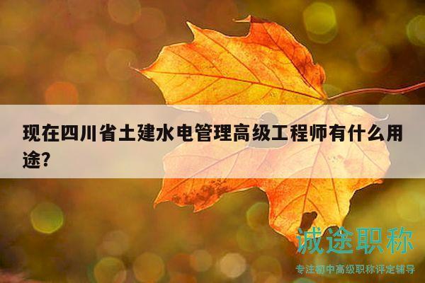 現(xiàn)在四川省土建水電管理高級(jí)工程師有什么用途？