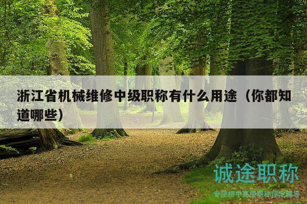 浙江省機(jī)械維修中級(jí)職稱有什么用途（你都知道哪些）