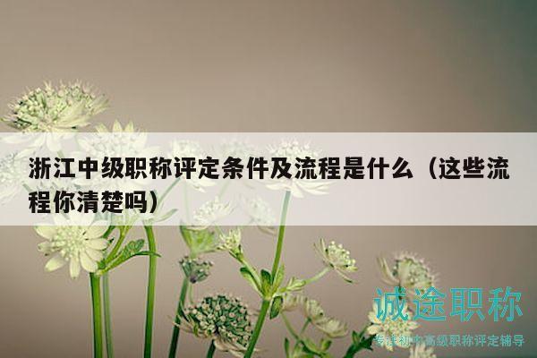 浙江中級(jí)職稱評(píng)定條件及流程是什么（這些流程你清楚嗎）