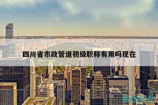 四川省市政管道初級(jí)職稱(chēng)有用嗎現(xiàn)在