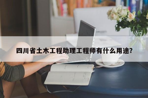 四川省土木工程助理工程師有什么用途？