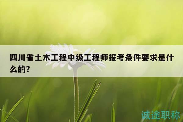 四川省土木工程中級(jí)工程師報(bào)考條件要求是什么的？