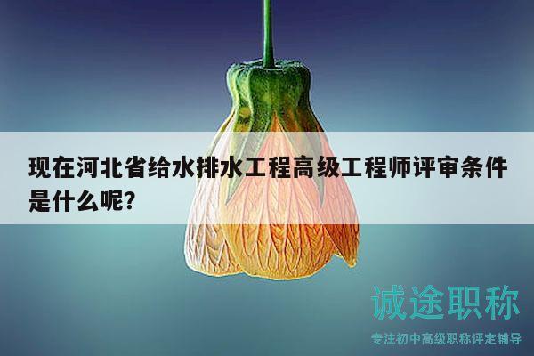 現(xiàn)在河北省給水排水工程高級工程師評審條件是什么呢？