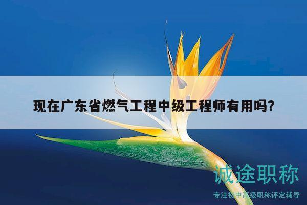 現(xiàn)在廣東省燃?xì)夤こ讨屑?jí)工程師有用嗎？