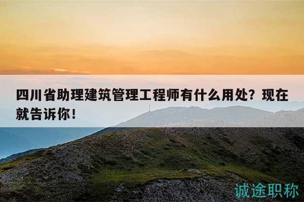 四川省助理建筑管理工程師有什么用處？現(xiàn)在就告訴你！