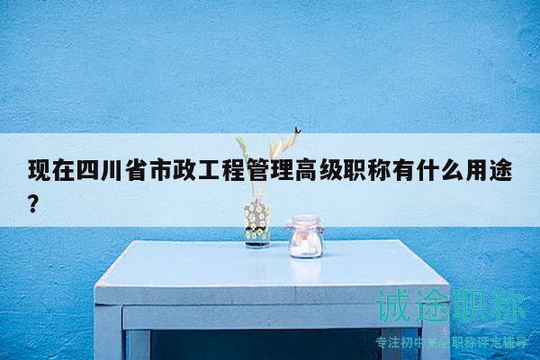 現(xiàn)在四川省市政工程管理高級職稱有什么用途？