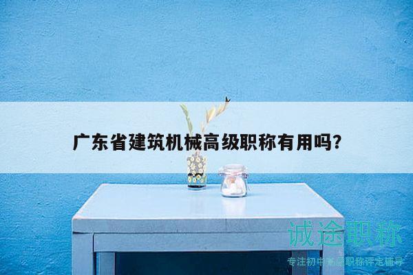 廣東省建筑機(jī)械高級(jí)職稱有用嗎？
