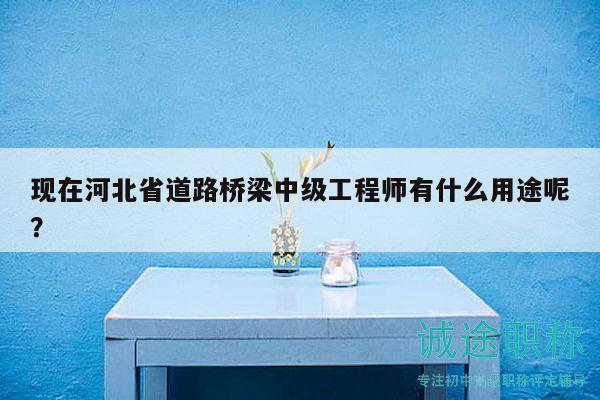 現(xiàn)在河北省道路橋梁中級工程師有什么用途呢？