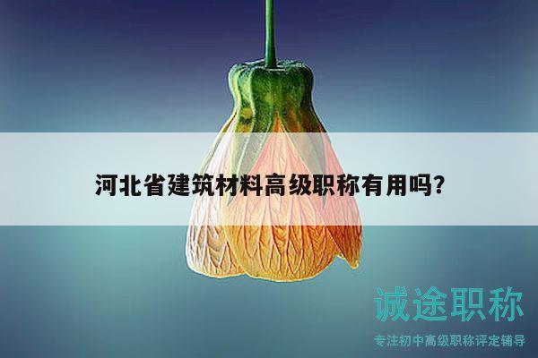 河北省建筑材料高級職稱有用嗎？
