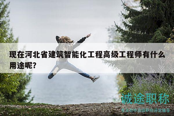 現(xiàn)在河北省建筑智能化工程高級工程師有什么用途呢？