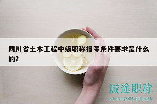 四川省土木工程中級(jí)職稱(chēng)報(bào)考條件要求是什么的？