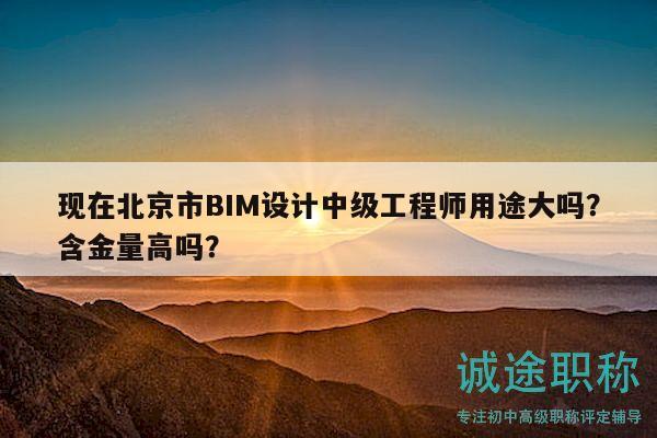 現(xiàn)在北京市BIM設(shè)計中級工程師用途大嗎？含金量高嗎？