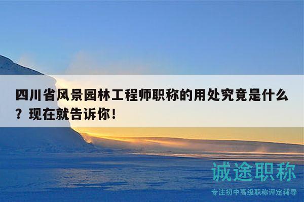 四川省風景園林工程師職稱的用處究竟是什么？現(xiàn)在就告訴你！