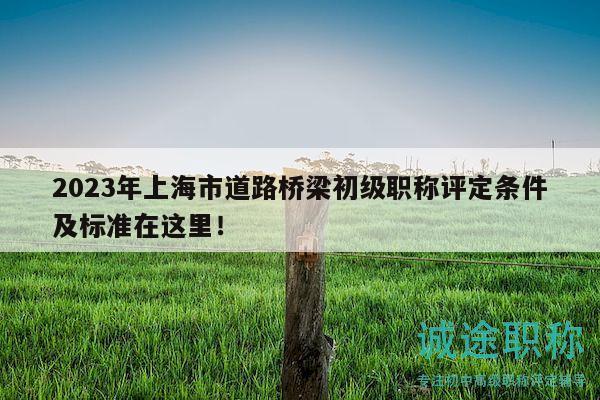 2023年上海市道路橋梁初級(jí)職稱評(píng)定條件及標(biāo)準(zhǔn)在這里！
