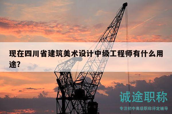 現(xiàn)在四川省建筑美術(shù)設(shè)計中級工程師有什么用途？