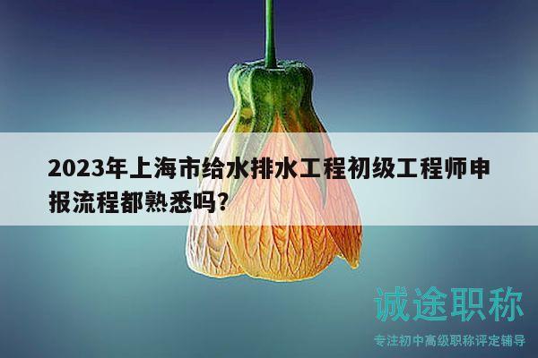 2023年上海市給水排水工程初級(jí)工程師申報(bào)流程都熟悉嗎？