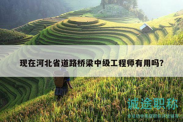 現(xiàn)在河北省道路橋梁中級(jí)工程師有用嗎？