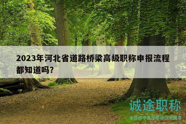 2023年河北省道路橋梁高級(jí)職稱申報(bào)流程都知道嗎？