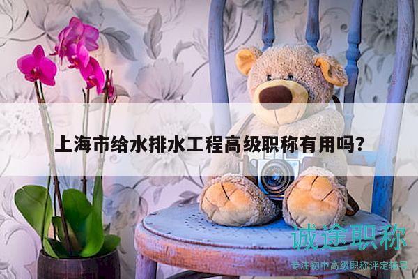 上海市給水排水工程高級職稱有用嗎？