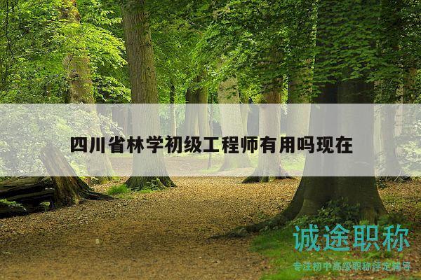 四川省林學(xué)初級(jí)工程師有用嗎現(xiàn)在