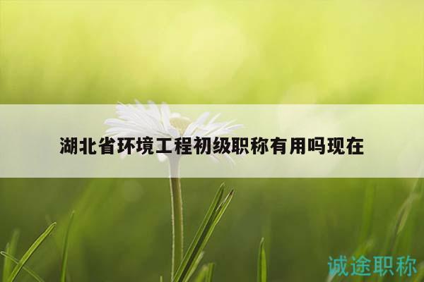 湖北省環(huán)境工程初級職稱有用嗎現(xiàn)在
