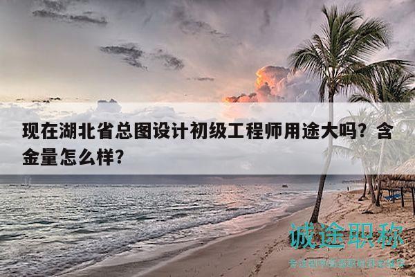 現(xiàn)在湖北省總圖設計初級工程師用途大嗎？含金量怎么樣？